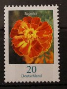 bd-2471-ren5-ur3 2  dsc03705 - kopie 020 ct tagetes