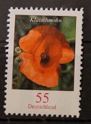 bd-2472-ra01-00500-ul4_2__dsc03704 - kopie (2)_055_ct_klatschmohn.jpg