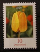 bd-2484-ra01-00500-ur3_1__dsc03705 - kopie (2)_010_ct_tulpe.jpg