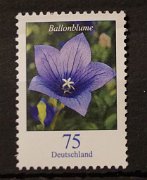 bd-2835-ren5-00000-or3_3__dsc03701_075_ct_ballonblume.jpg