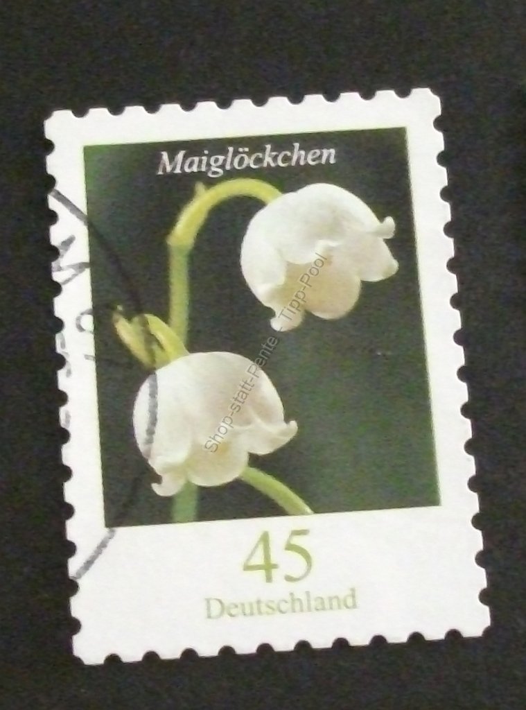 bd-2851-gest-skl-20220625-dscf1632