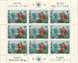 ceptmtl-jug-1406f-kb-001-vkp 24,90 euro