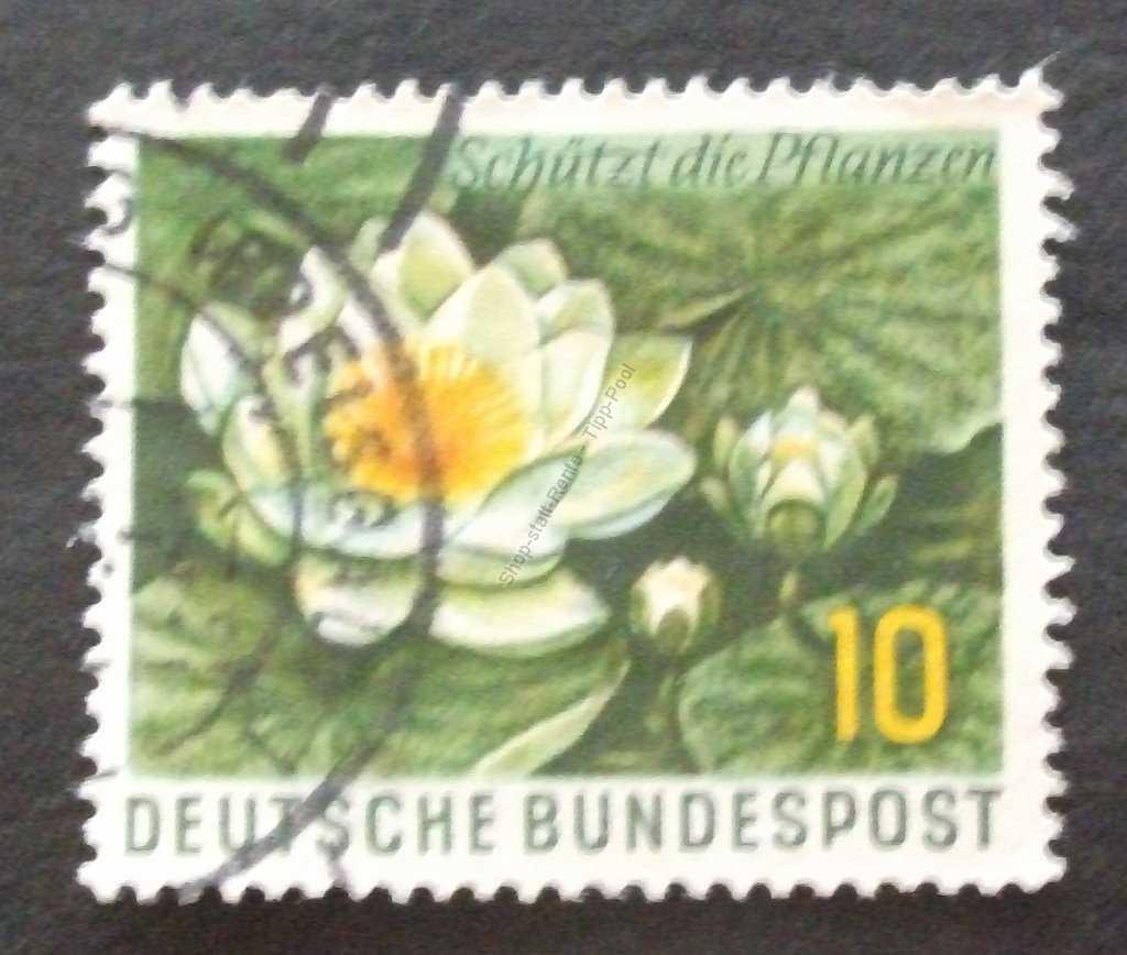 bd-0274-20220514-dscf2071