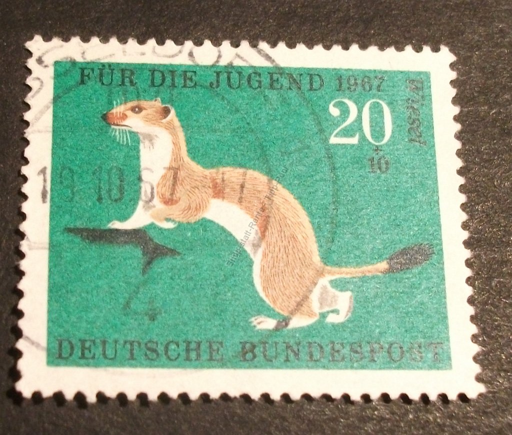 bd-0530-gest-20220709-dscf3767