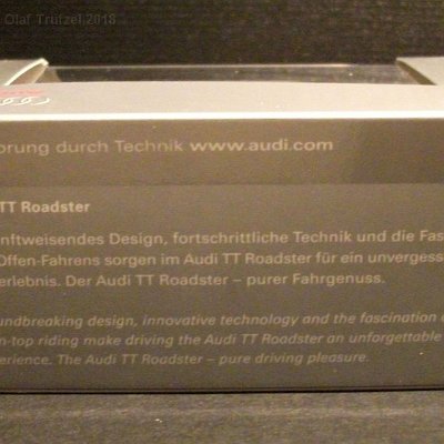 ww3-audixxx-audi-tt-roadster-cabro-schwarz-ie-beige-015-dscf1557