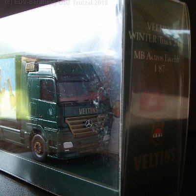 ww3-veltinsxxx-mb-actros-facelift-winter-truck-2003-070-dscf2611