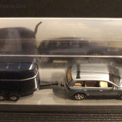 ww3-vwxxx07x-vw-touareg-mit-westfalia-pferdeanhaenger-020-dscf9362