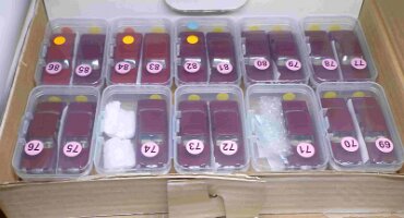 WW2-0141-XX-X-P1840383